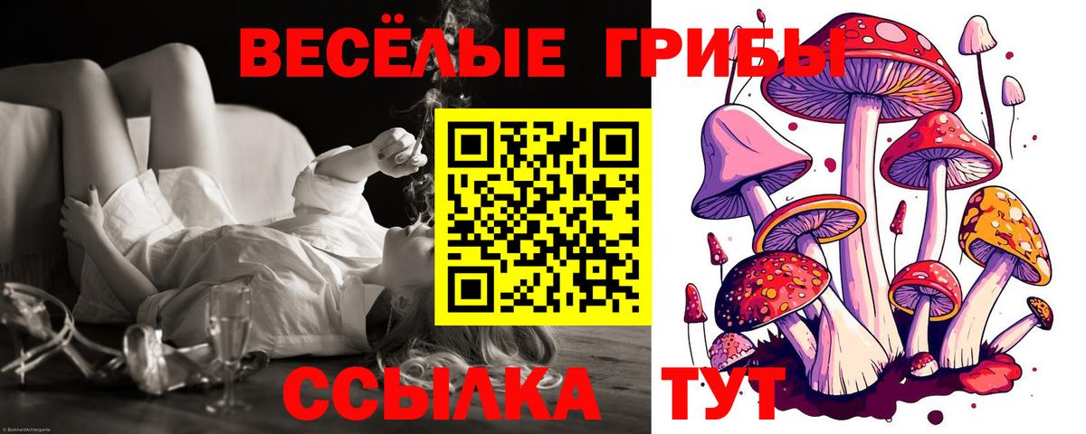 Воронеж  Псилоцибиновые грибы Magic Shrooms  Вход с VPN 